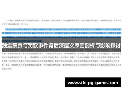 魏震禁赛与罚款事件背后深层次原因剖析与影响探讨
